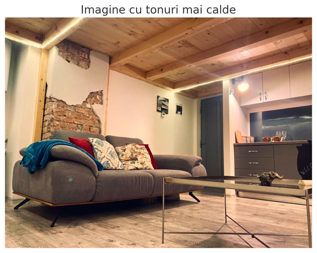 Central Cluj Apartament Kültér fotó